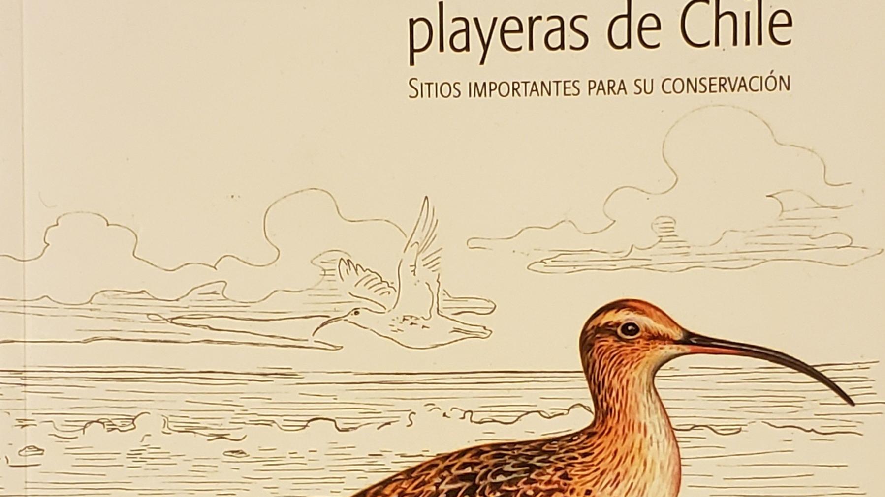 Atlas de las Aves Playeras de Chile: Sitios importantes para su conservación, de de Julián García Walther, Nathan Senner, Heraldo Norambuena y Fabrice Schmitt.