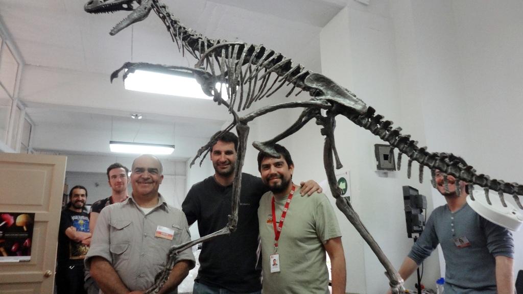 El paleontólogo Fernando Novas, descriptor de esta especie, junto a Marcelo Isasi y a los voluntarios del Área Paleontología del MNHN con el montaje del esqueleto del celurosaurio Bicentenaria argentina.