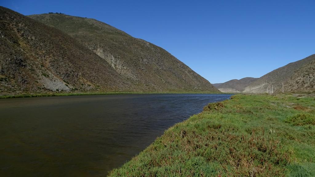 Estuario del rio Limarí, Región de Coquimbo.