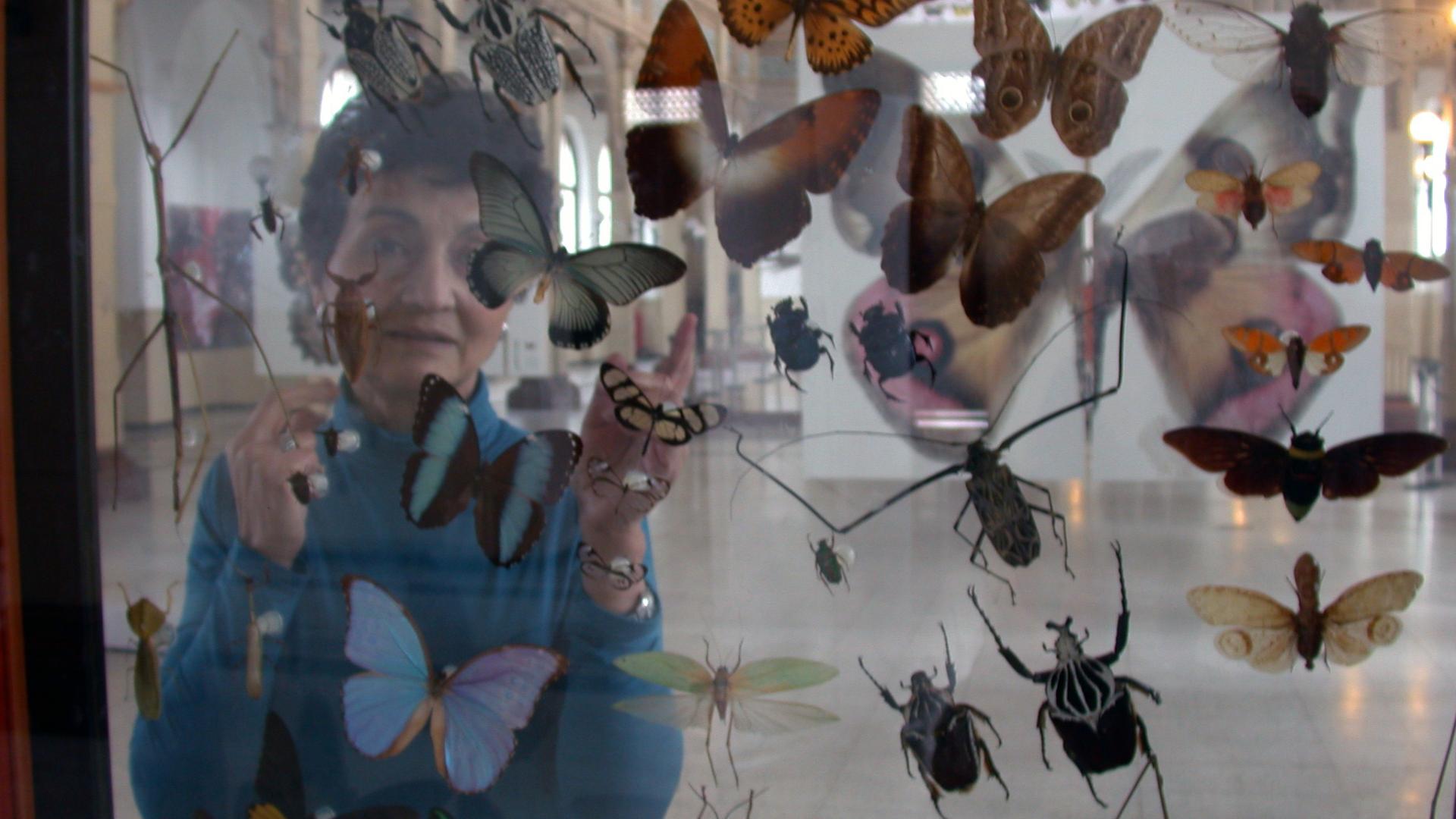 Fresia sorprendida en el Salón Central del Museo examinando el contenido de una vitrina de insectos, en la exposición Micra (2012).