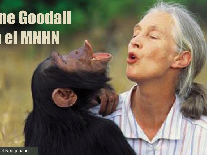 Jane Goodall en el MNHN