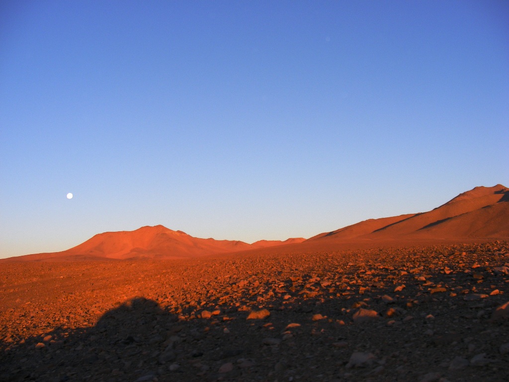 Un «western» en el desierto de Atacama y un descubrimiento asombroso |  Museo Nacional de Historia Natural