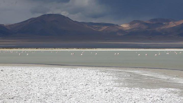 Salar de Huasco