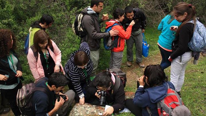 Participantes en trabajo de observación