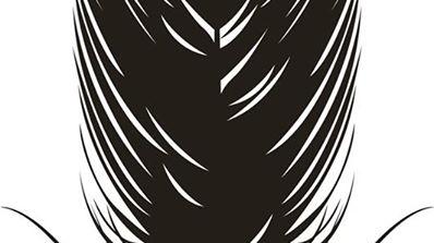 Pluma, carácter diagnóstico de las aves
