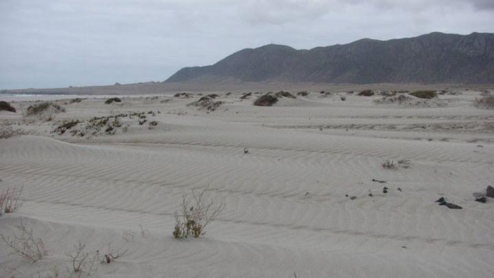 Vista hacia el norte de la playa de Chañaral, en octubre de 2012 (M. Elgueta), actualmente presenta zonas con coloración parda debida al arrastre de materiales por el río Salado.