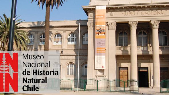 Horario Museo Fiestas de fin de año