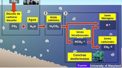 Imagen de referencia
