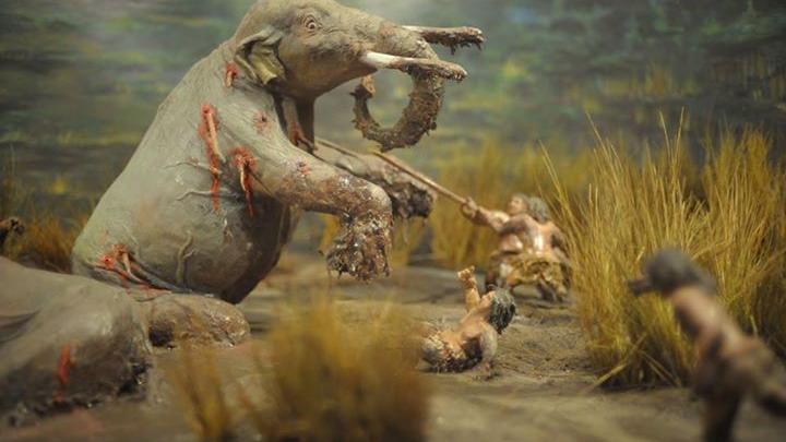 Diorama caza de gonfoterios en Tagua Tagua
