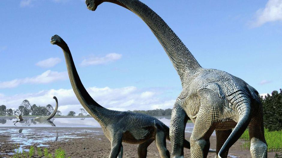 Savannasaurus elliottorum Savannasaurus elliottorum