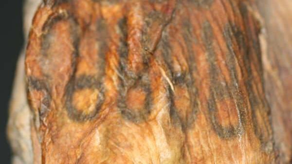 Tatuaje en una mano de momia del Norte de Chile Tatuaje en una mano de momia del Norte de Chile. (Imagen: Mercedes González, Museo de las Momias de Quinto (Zaragoza, España). Tatuaje en una mano de momia del Norte de Chile Tatuaje en una mano de momia del Norte de Chile. (Imagen: Mercedes González, Museo de las Momias de Quinto (Zaragoza, España)