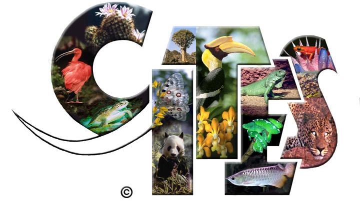 CITES
