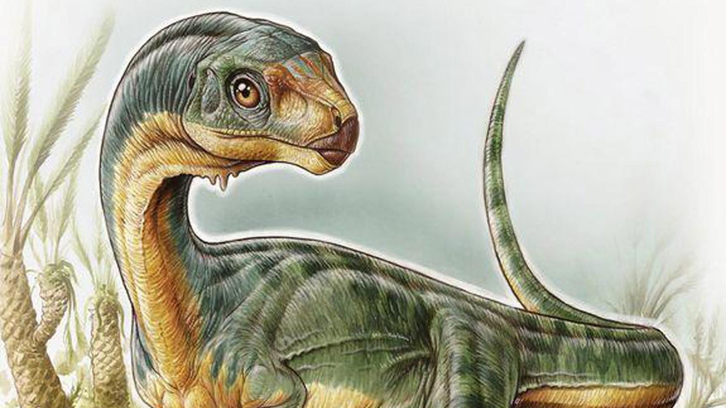 Chilesaurus diegosuarezi (Ilustración: Gabriel Lio) Chilesaurus diegosuarezi (Ilustración: Gabriel Lio)