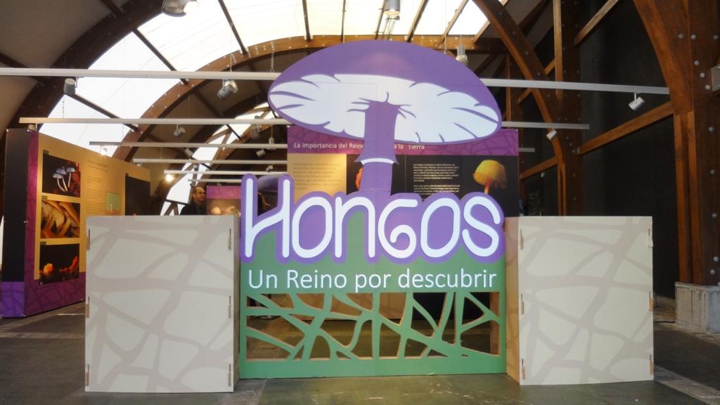 Inauguración exposición «Hongos, un Reino por descubrir» en Valdivia
