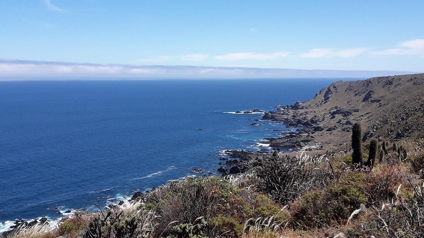 Vista de la pendiente occidental de los cerros del Parque Nacional Bosque de Fray Jorge, mostrando la costa marina, donde se recolectaron algunas de las especies nativas.