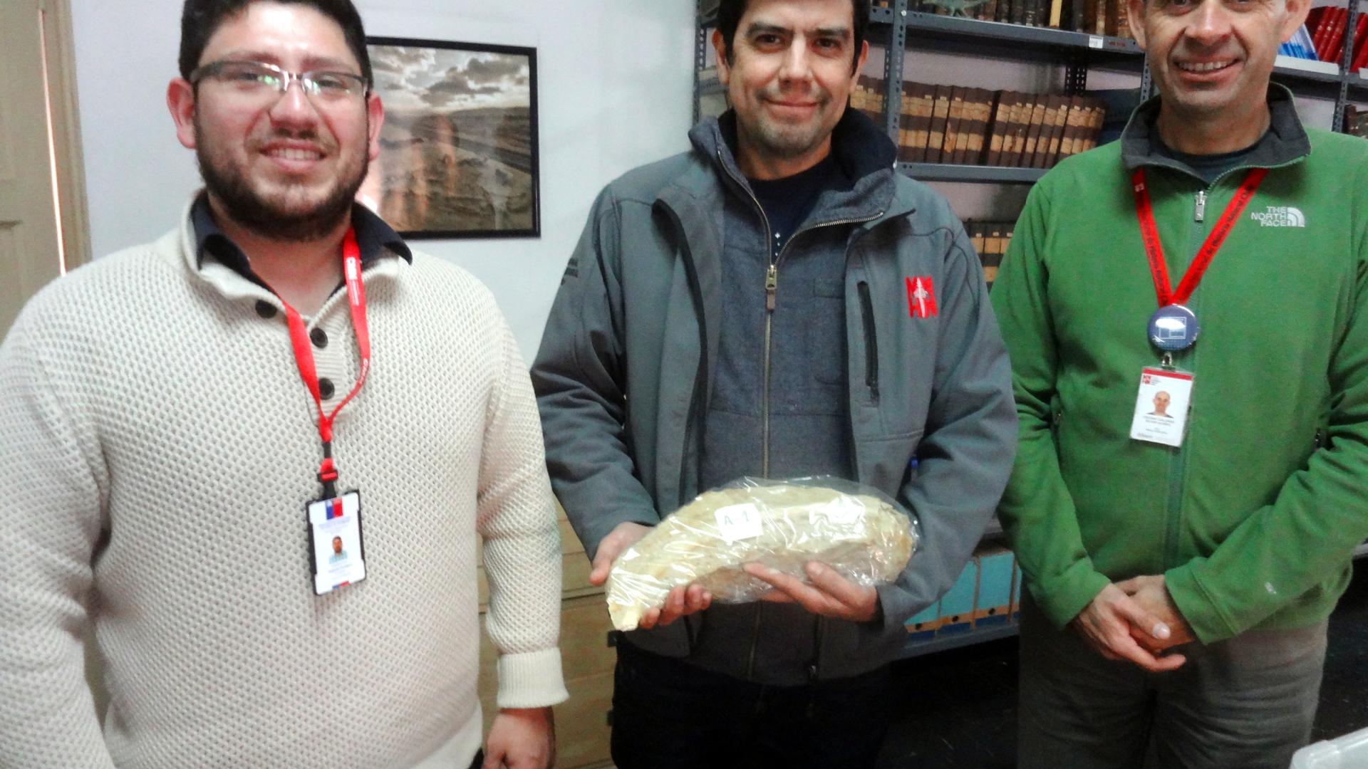 (Izq. a der.) Alejandro Cornejo, Encargado del Área de Patrimonio Natural del Consejo de Monumentos Nacionales; David Rubilar, Jefe de Paleontología del MNHN; y Cristian Becker, Jefe Curatorial y Científico del MNHN.