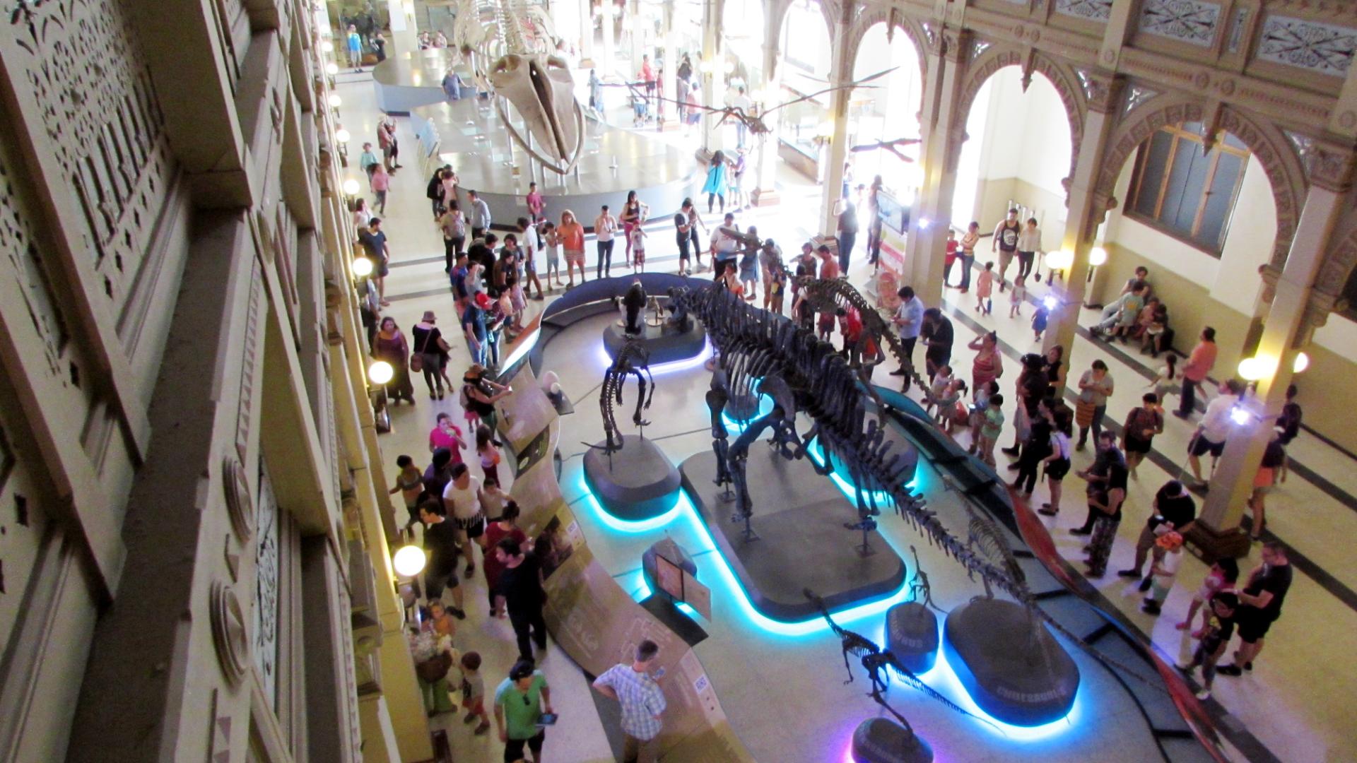 Exposición «Dinosaurios, más allá de la extinción».