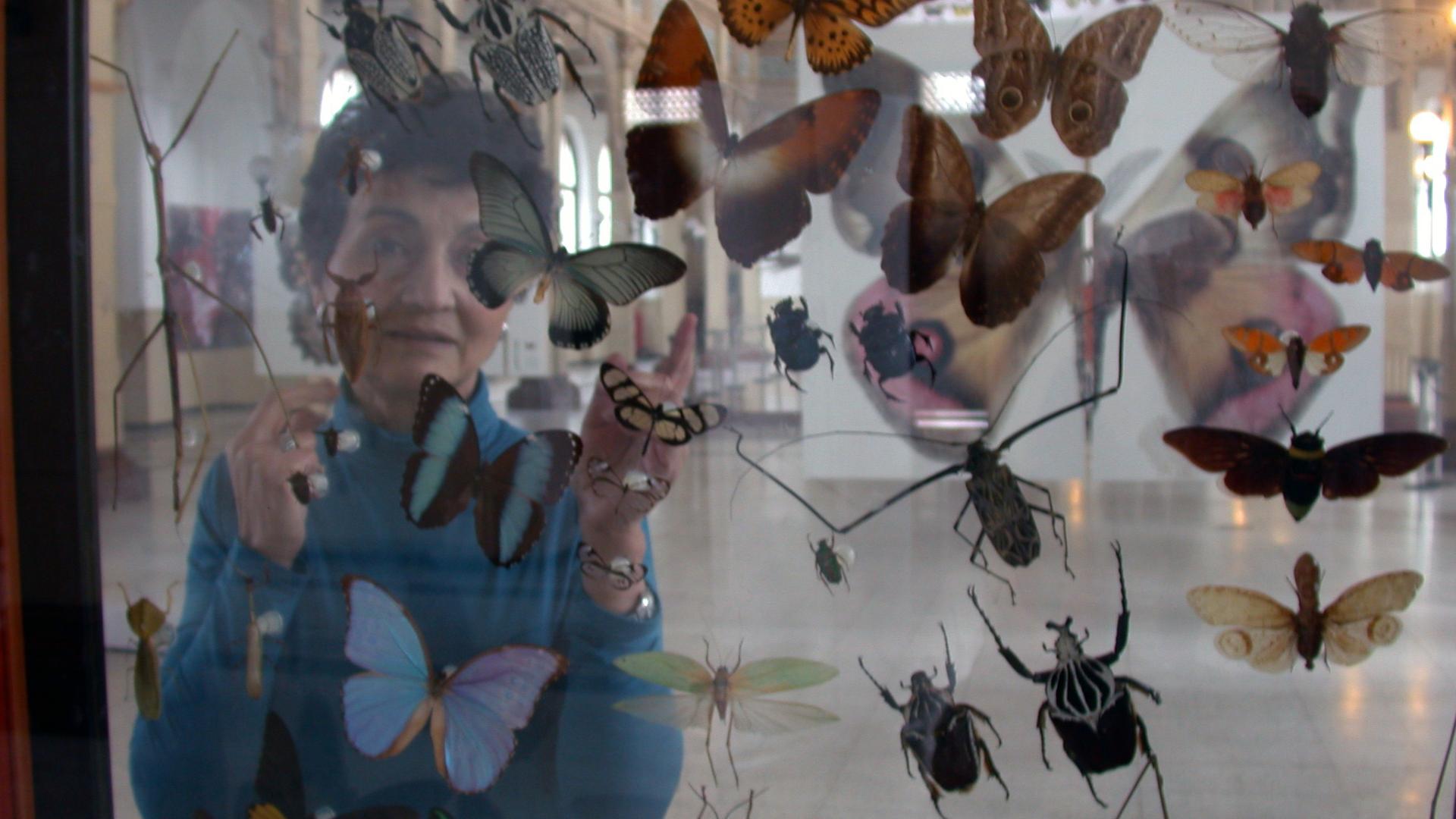 Fresia sorprendida en el Salón Central del Museo examinando el contenido de una vitrina de insectos, en la exposición Micra (2012). Fresia sorprendida en el Salón Central del Museo examinando el contenido de una vitrina de insectos, en la exposición Micra (2012).
