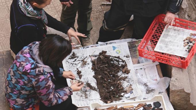 Limpieza mecánica de huesos de animales domésticos de la excavación del patio Los Naranjos de la Catedral Metropolitana. Nótese como salen los huesos de la excavación y como quedan tras su limpieza. De frente, la conservadora jefa Carolina Massone.