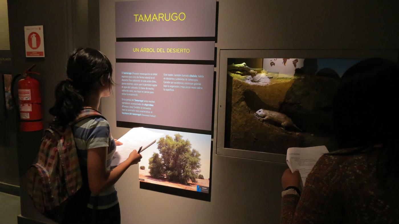 Visita de Escuela de Verano U. de Chile