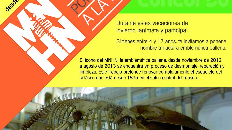 Afiche Concurso: PONLE NOMBRE A LA BALLENA