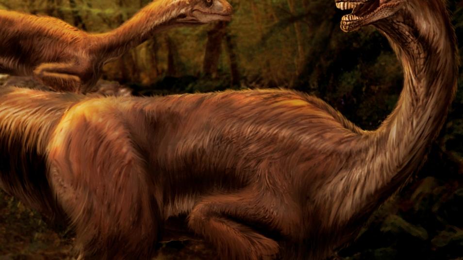 Detalle portada libro «Dinosaurios de Chile: pasado y presente» Detalle portada libro «Dinosaurios de Chile: pasado y presente»
