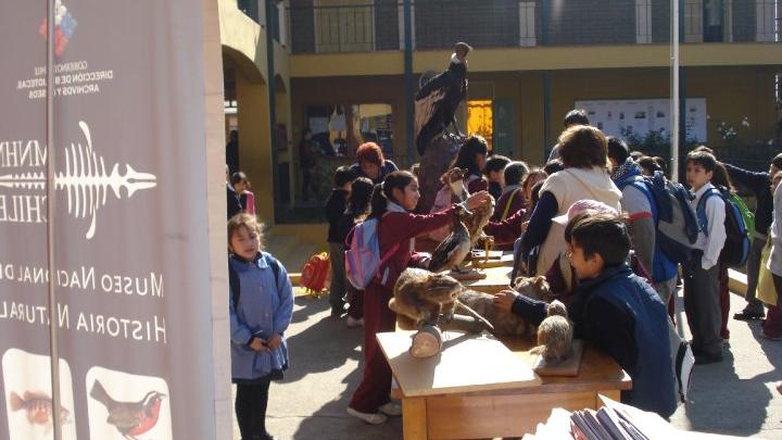 Talleres a niños