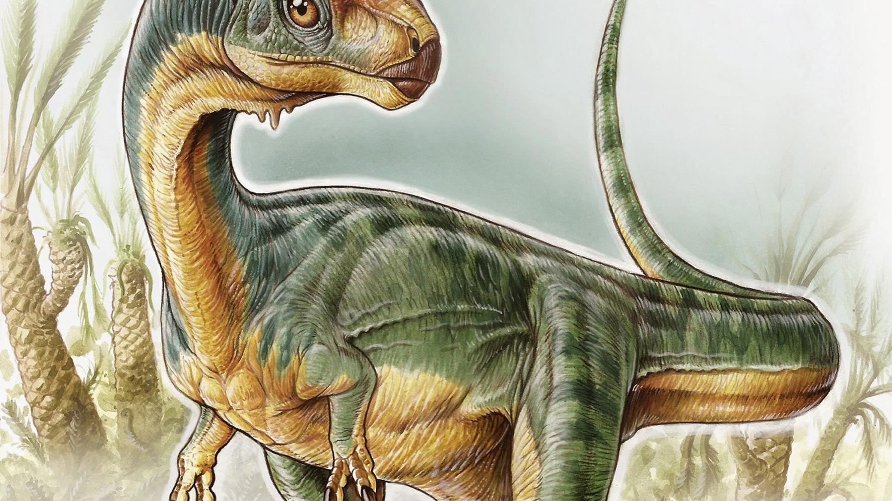 Chilesaurus diegosuarezi (Ilustración: Gabriel Lio) Chilesaurus diegosuarezi (Ilustración: Gabriel Lio)