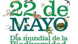Día mundial de la biodiversidad