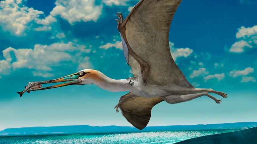 Reconstrucción un pterosaurio ctenochasmatido, Gladocephaloideus jingangshanensis de China, sugiere el modo de vida de estos particulares animales (dibujo por Zhao Chuang, tomado de Lü et al. 2016).