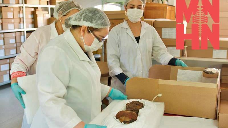 Trabajo en el embalaje con Huella Patrimonial. Trabajo en el embalaje con Huella Patrimonial.