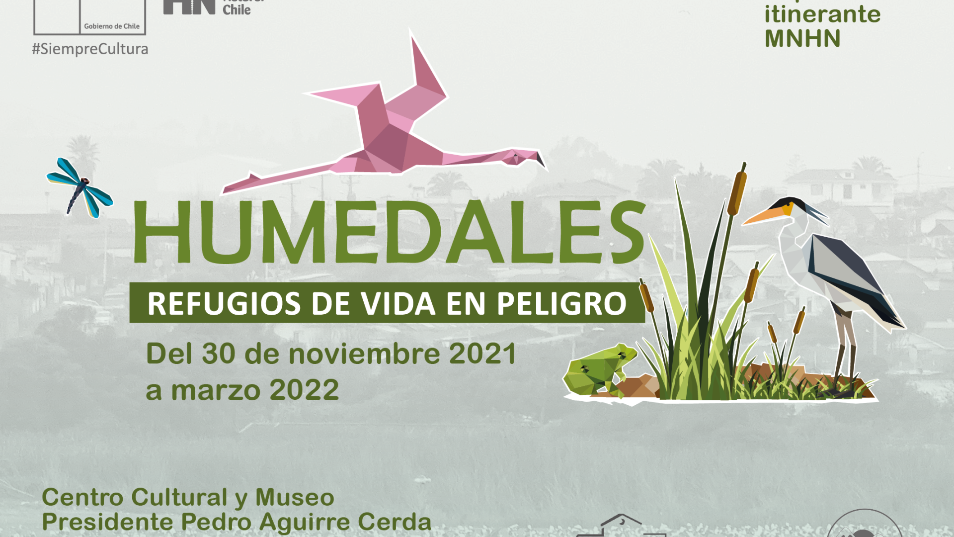 Itinerancia Humedales en Calle Larga