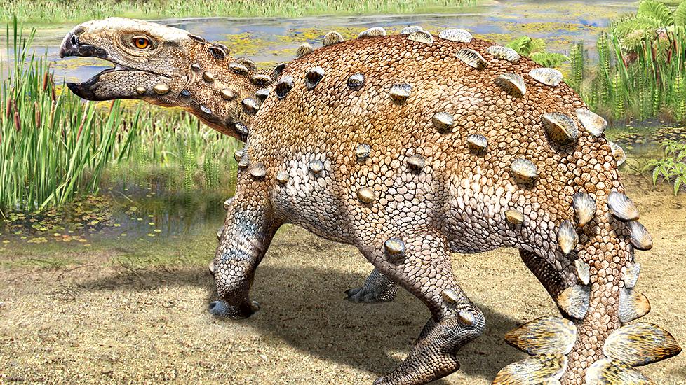 Paleontólogo del MNHN participa en descubrimiento de nuevo dinosaurio chileno | Museo Nacional de Historia Natural Paleontólogo del MNHN participa en descubrimiento de nuevo dinosaurio chileno | Museo Nacional de Historia Natural