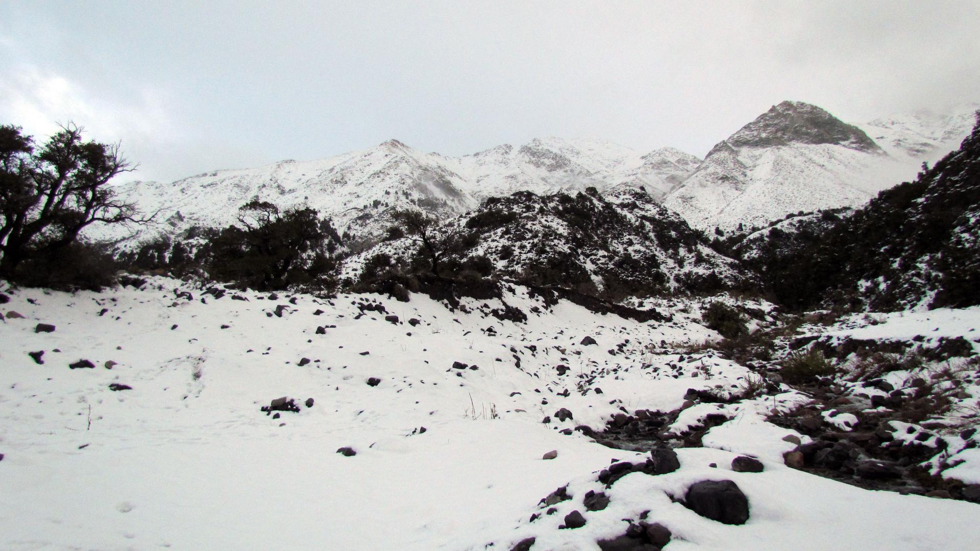 Los Queñes, Romeral, Región del Maule