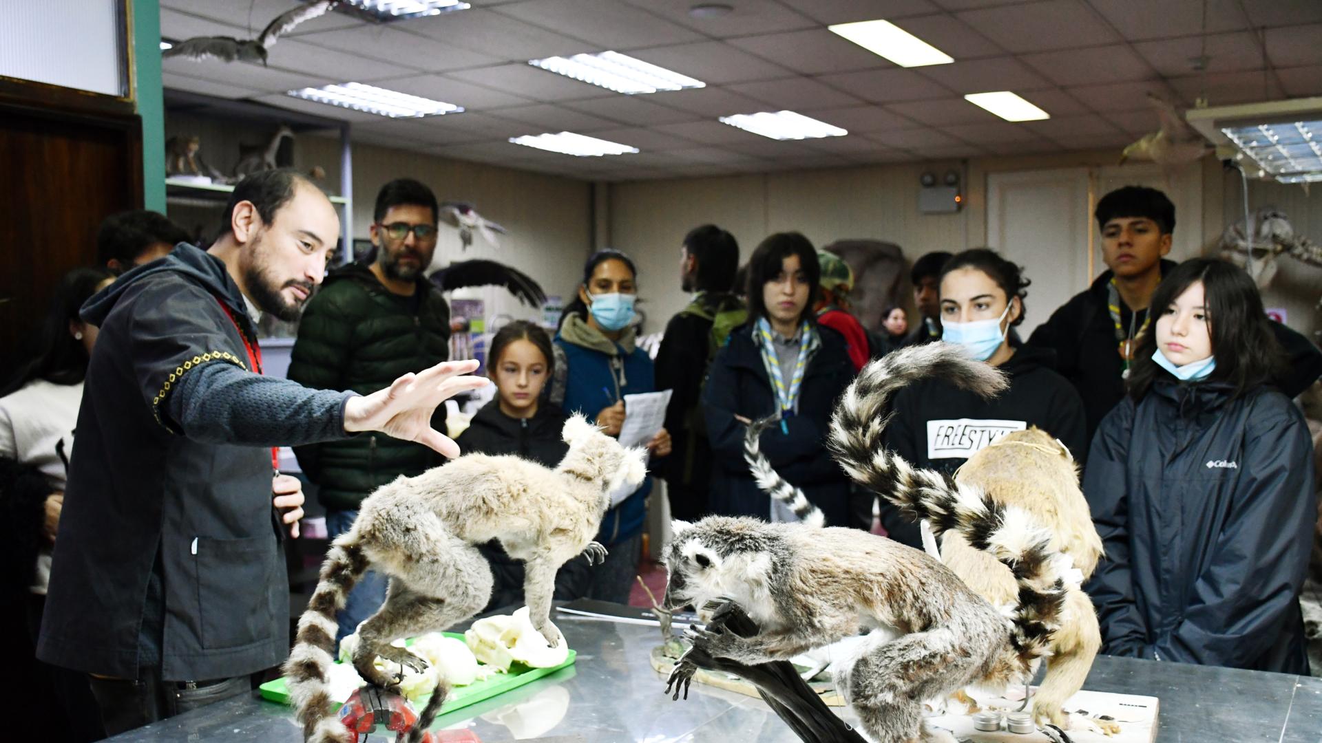 Diego Jara en el Taller de Taxidermia del MNHN