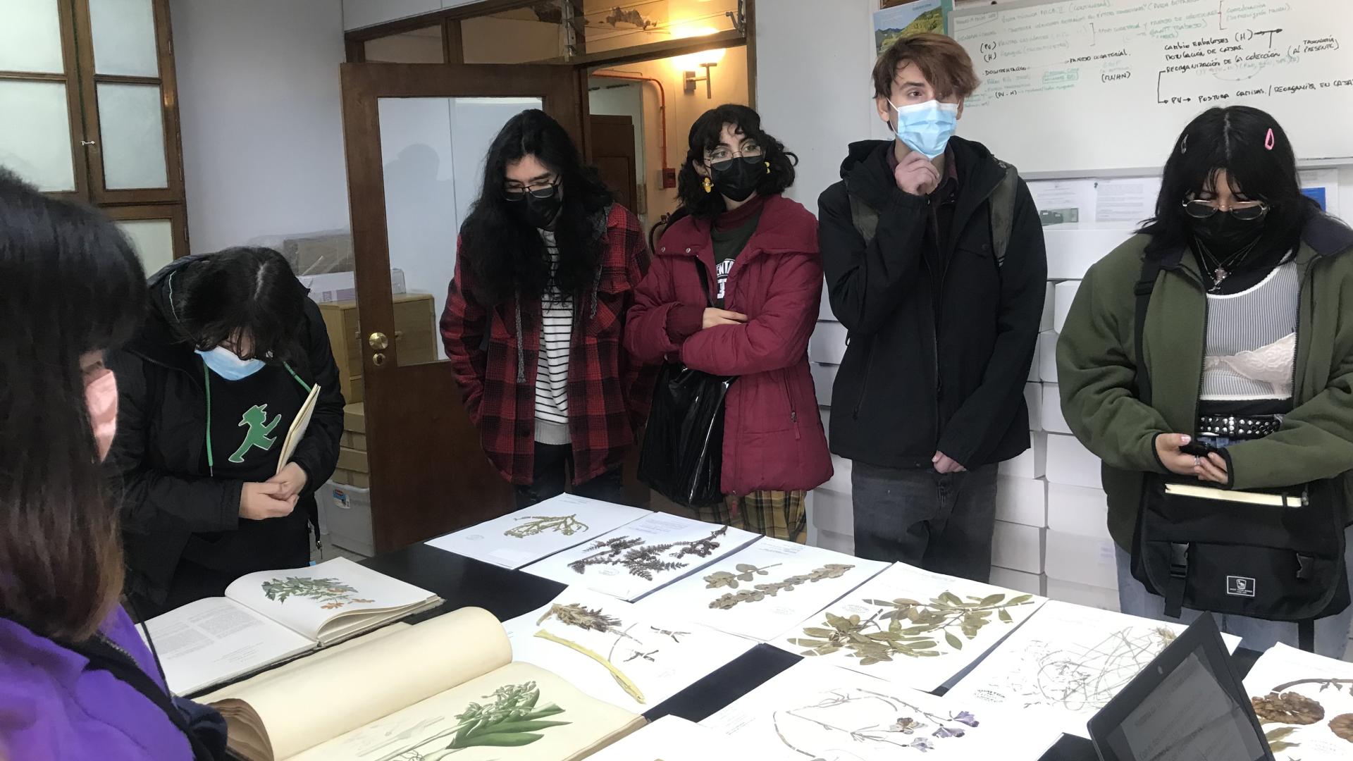 Estudiantes visitando el Área de Botánica del MNHN.