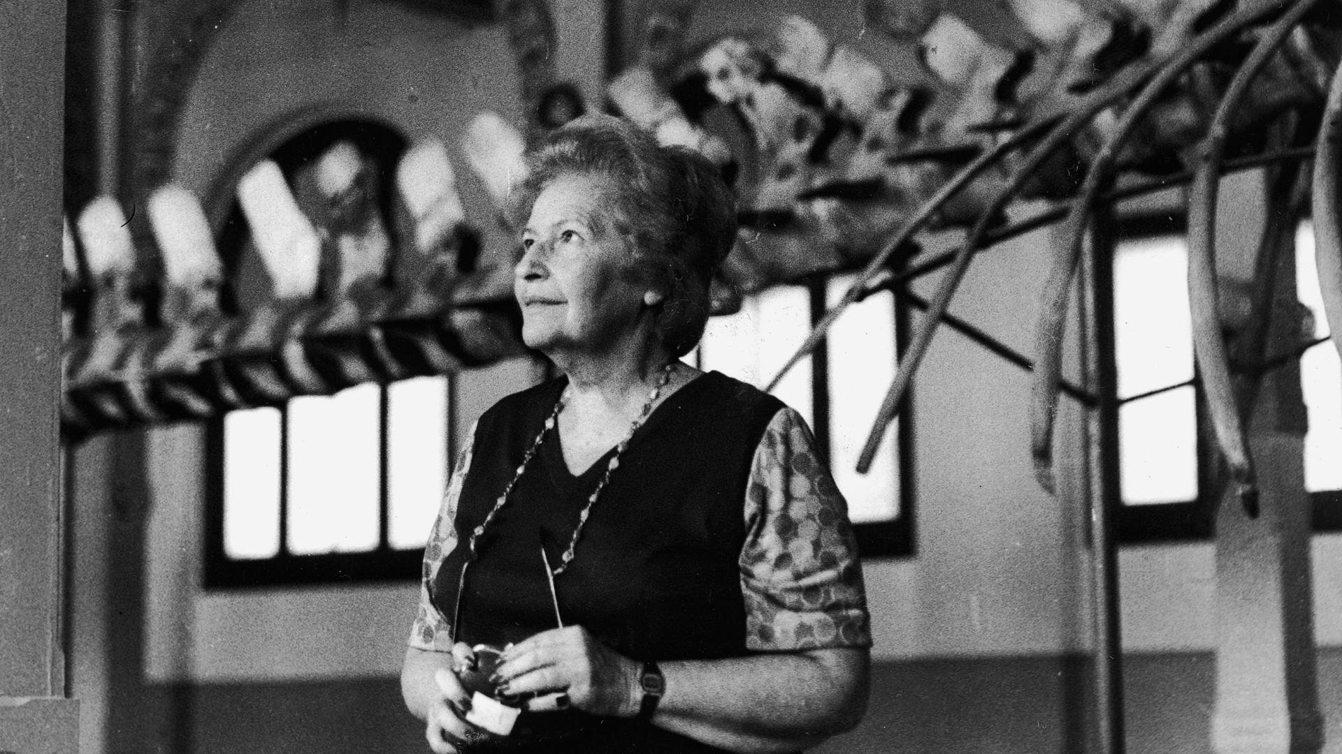 Grete Mostny en el MNHN (Imagen: El Mercurio)