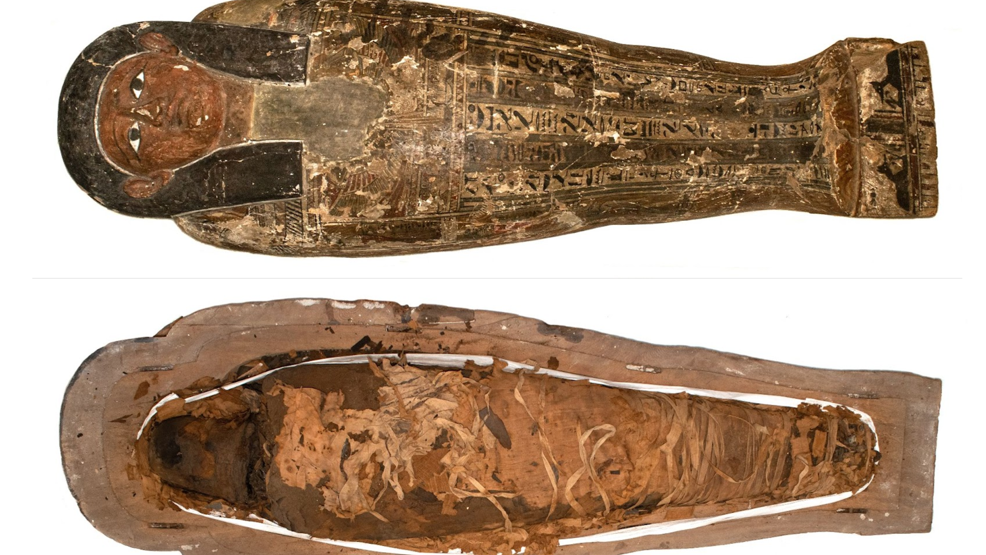 Sarcófago y cuerpo de Panubis del Museo Nacional de Historia Natural, Fotografía de Camila Maripangui. 