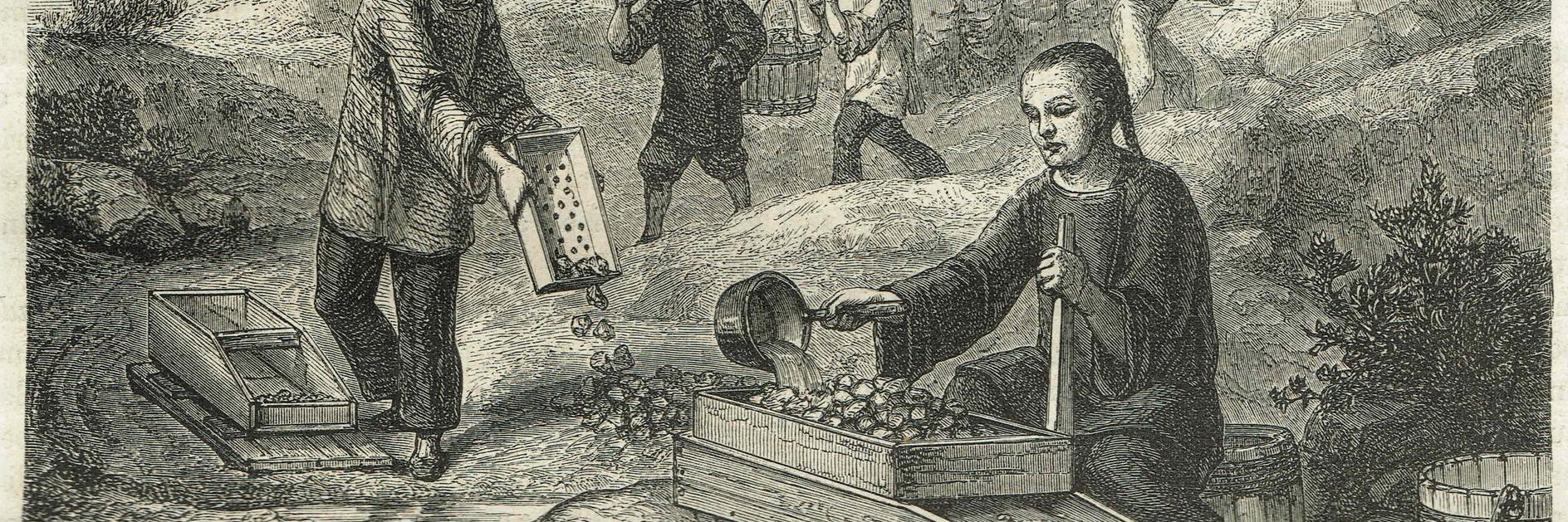 Figura 1: Culíes trabajando en la minería en San Francisco en la década de 1850.