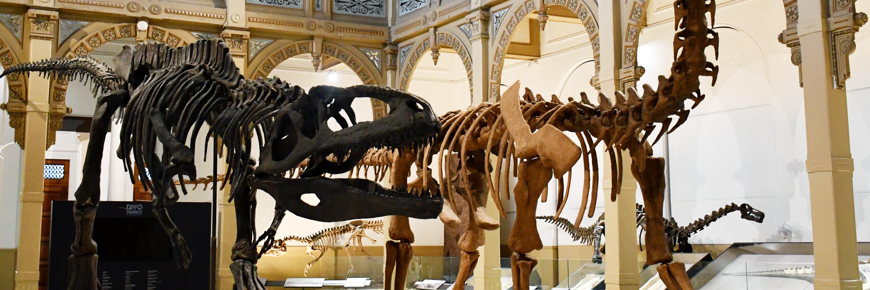 Dinos