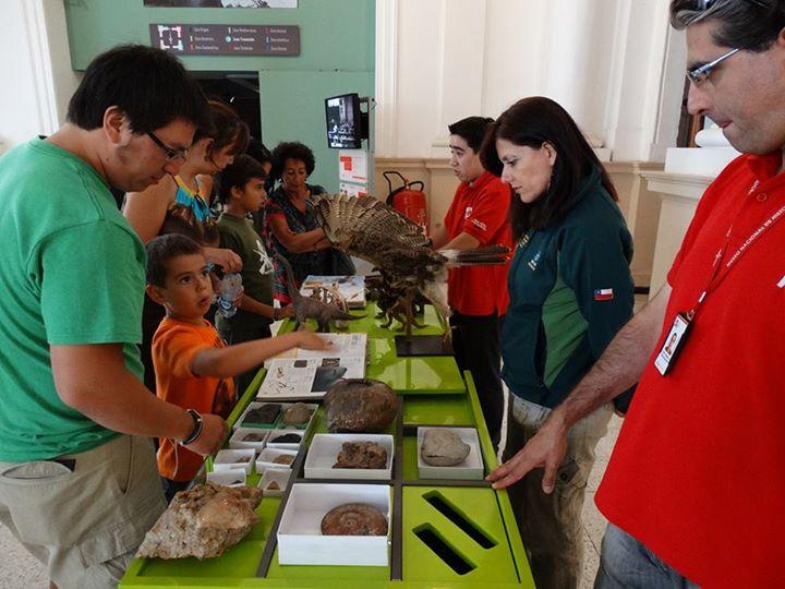 Talleres educativos para vacaciones de verano