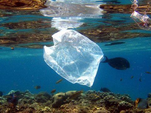 La grave contaminación por bolsas de plástico.