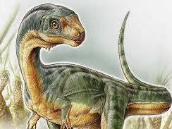 Chilesaurus diegosuarezi Chilesaurus diegosuarezi