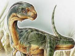 Chilesaurus diegosuarezi