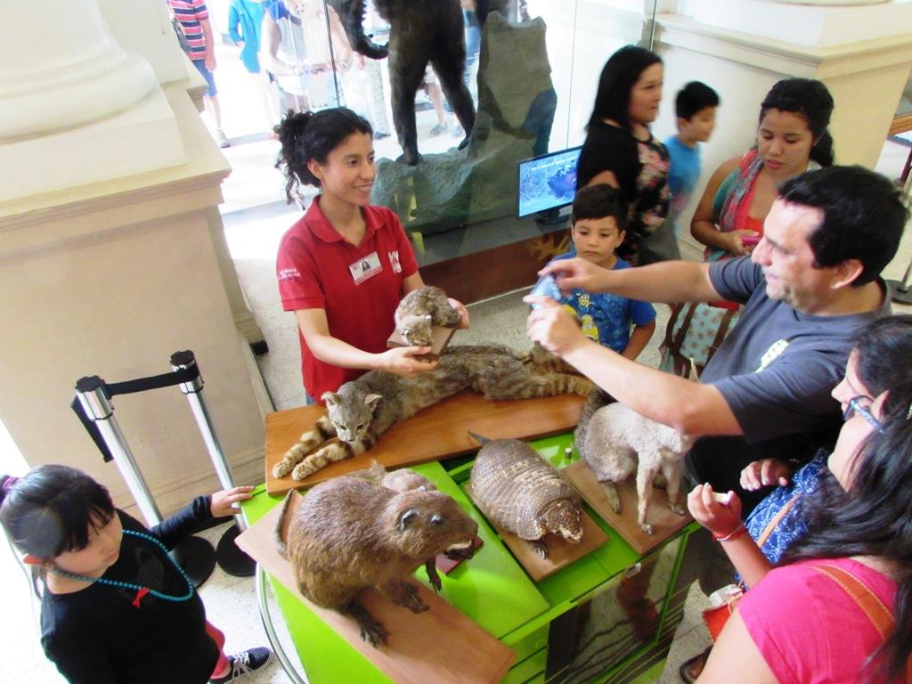 Un taller del Área de Educación del MNHN