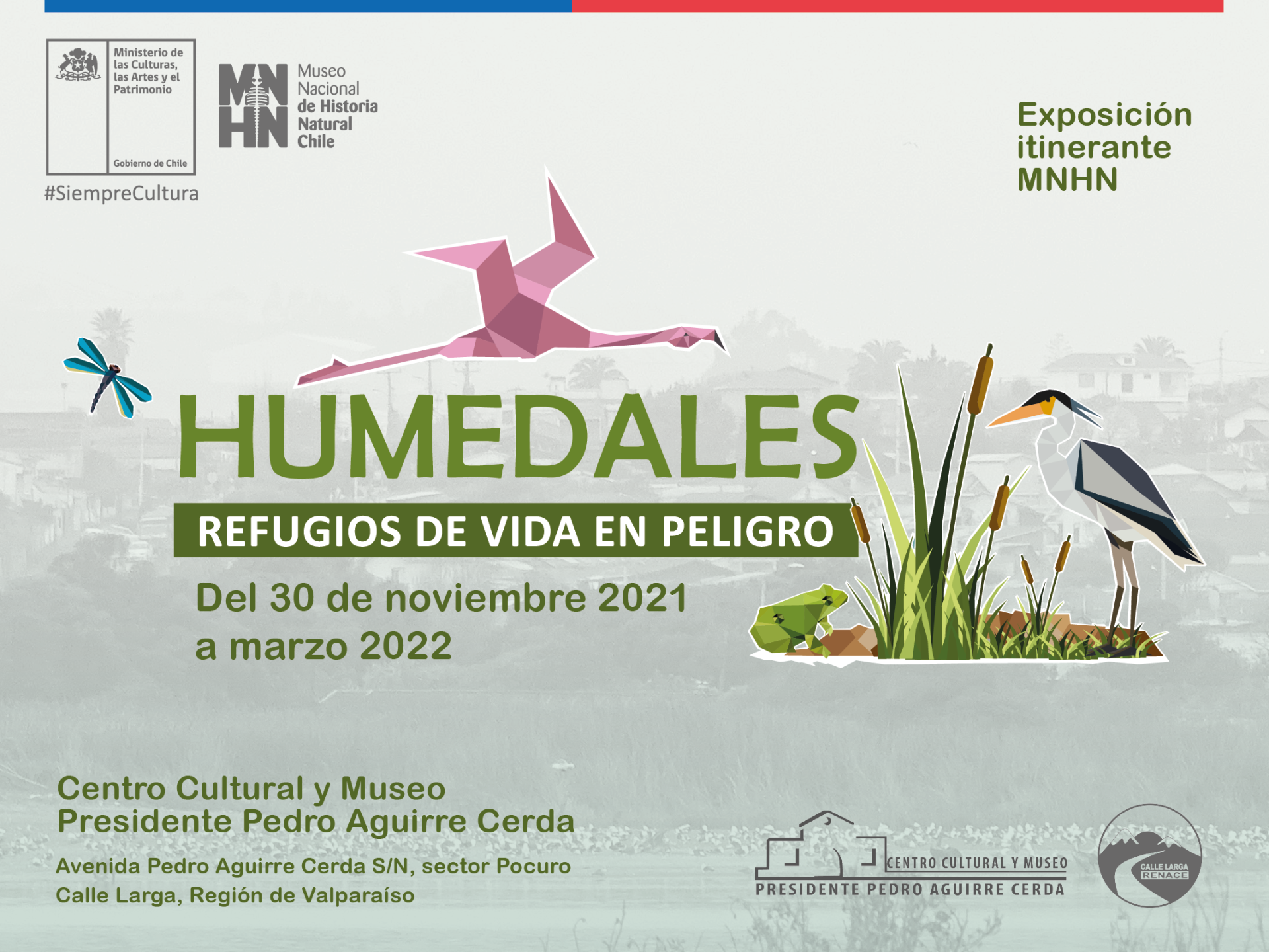 Humedales en Calle Larga