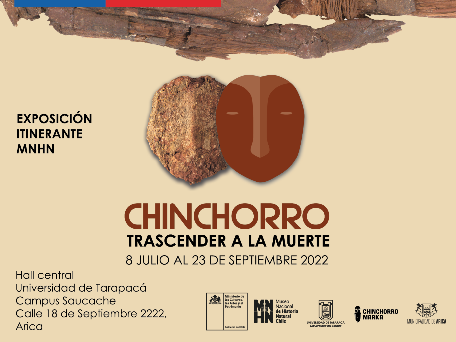 Exposición Chinchorro