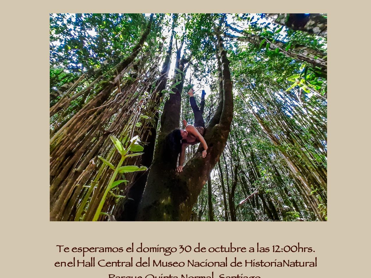 Afiche de la presentación