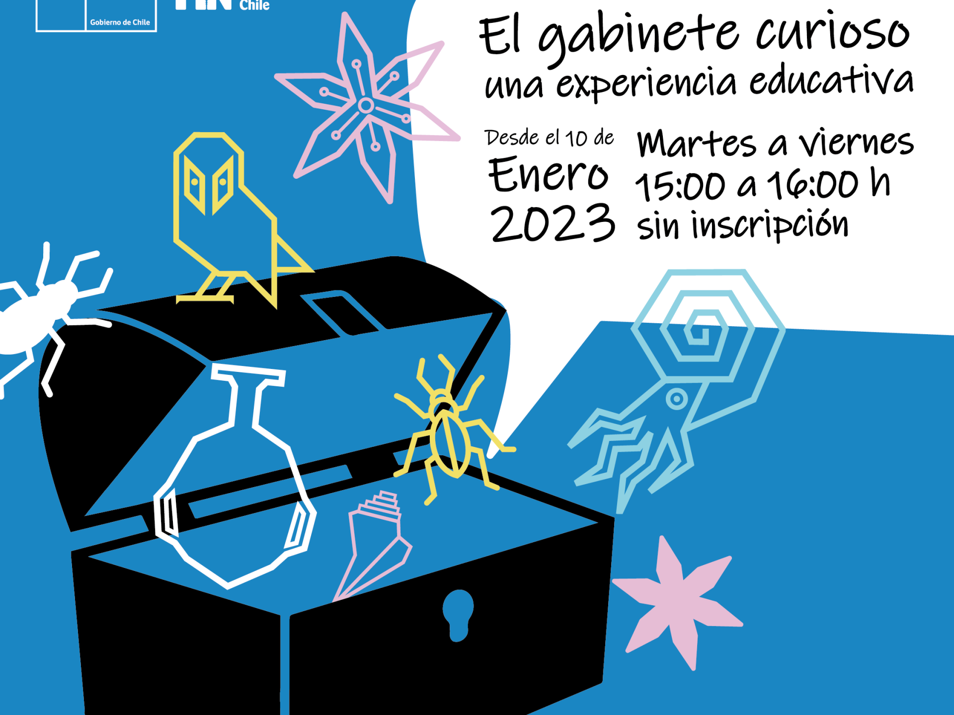 Gabinete curioso