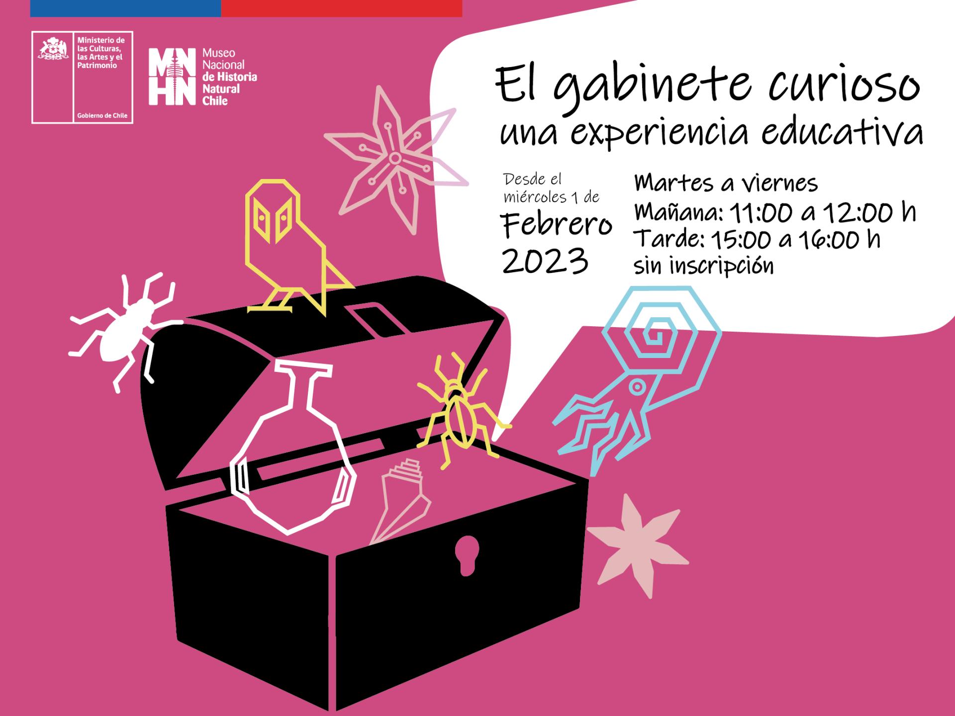 Gabinete curioso